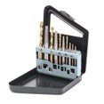 thumbnail image 1 of Amdohai 10PCS Screw Extractor & Hand Drill Bit Set Portable Damaged Screw Broken Bolt Remover Tool Kit with Storage Box, 1 of 8