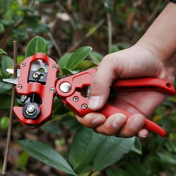 Tree grafting tool deals