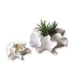 thumbnail image 1 of Juego de jarrones Planter KALALOU CHN1123 con forma de concha de cerámica de 25 x 14 y 18 x 9 cm, 1 of 5