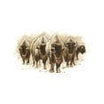 thumbnail image 2 of Harper, Ethan 24x17 White Modern Wood Framed Museum Art Print Titled - Herd of Bison I, 2 of 4