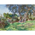 thumbnail image 3 of Sargent, John Singer 14x12 Black Modern Framed Museum Art Print Titled - Olive Trees, Corfu, 3 of 5