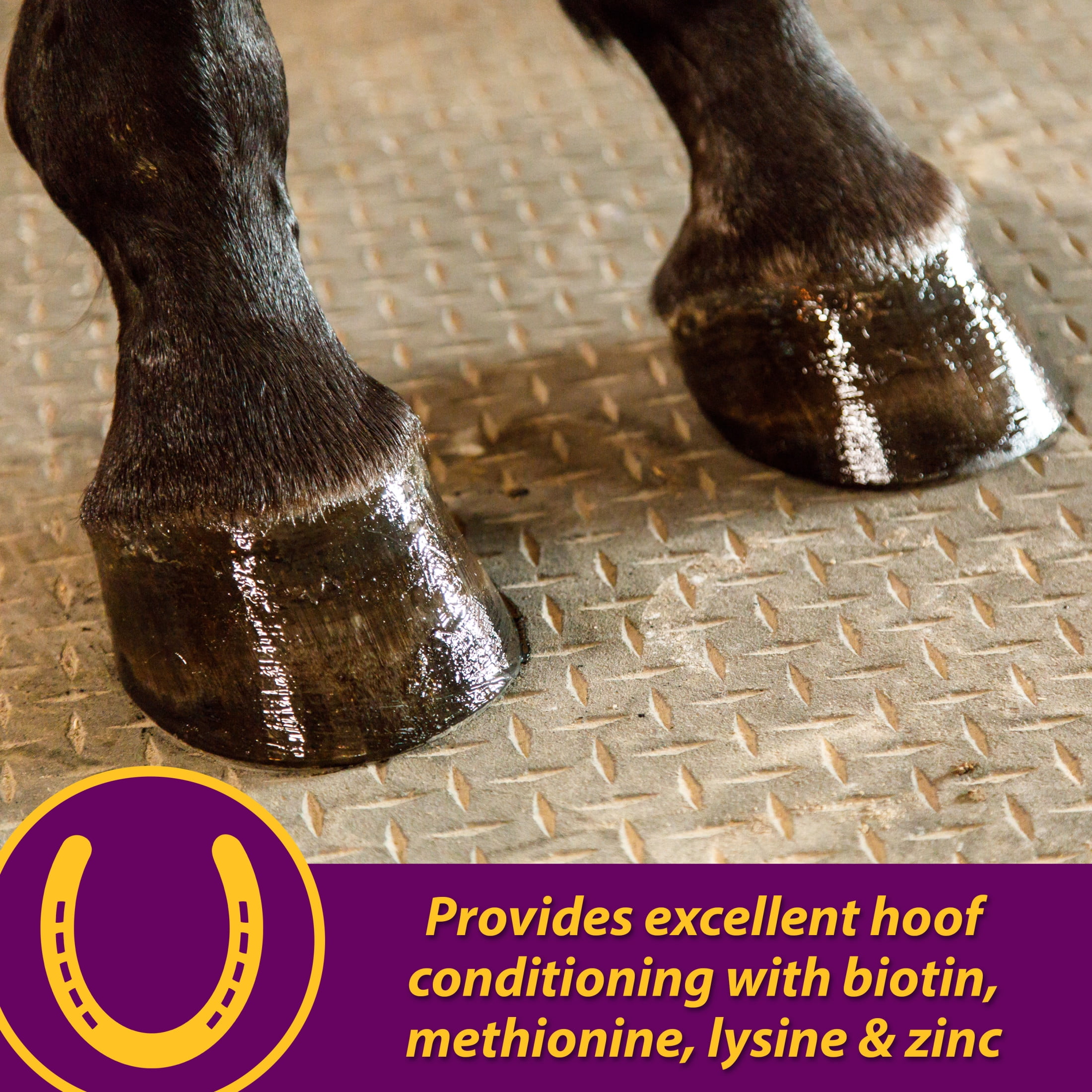 (4 pack) Horse Health Joint Combo Hoof & Coat 3.75 pounds 30 day supply