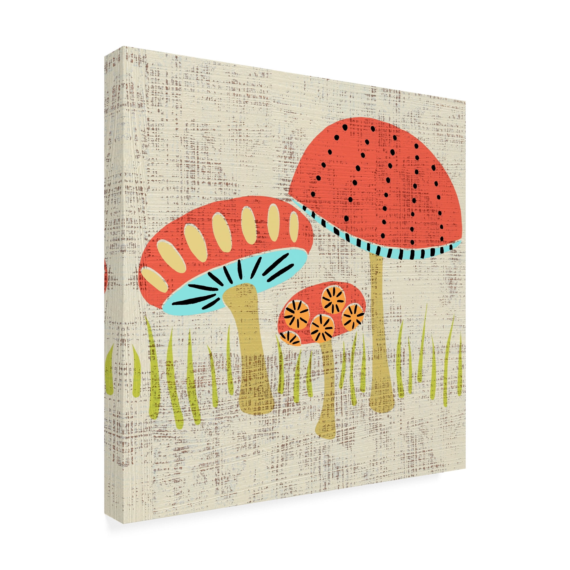 Trademark Fine Art 'Adas Mushrooms' Canvas Art by Chariklia Zarris