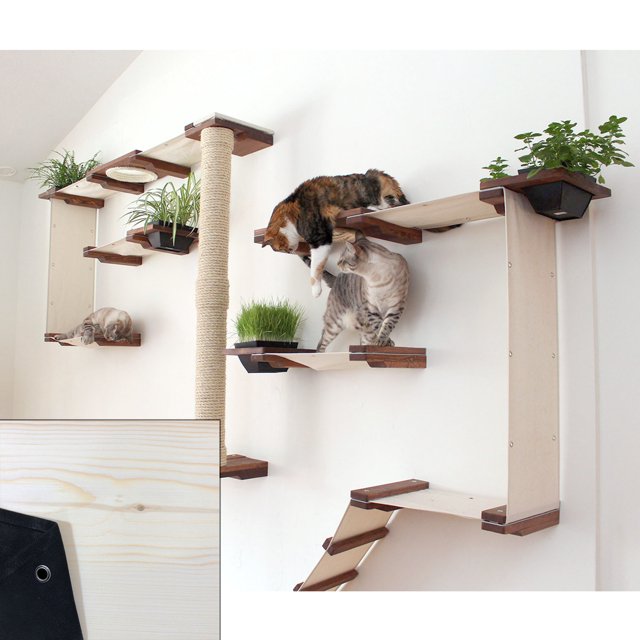 Cat Mod Garden Complex Unfinished/Black