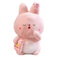thumbnail image 1 of Sleepy Rabbit Doll Cute Soft Pink Healing Plush Toy Rag Doll Companion Gift, 1 of 5