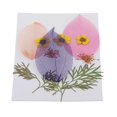 thumbnail image 4 of 10 piezas das reales naturales, flores secas, hojas de para arte, manualidades, álbumes de recortes, resina, joyería, fabricació Baoblaze Artesanía de hojas secas prensadas DIY, 4 of 8