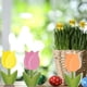 thumbnail image 5 of 6 Piezas de Decoraciones para Fiesta del Día de la Madre, Letrero S Pintado de Color Caramelo de Granja de para Decoración del Hogar, 5 of 5
