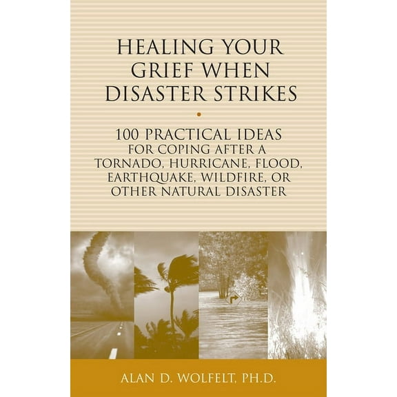 100 Ideas Healing Your Grief When Disaster Strikes: 100 Practical Ideas for Coping After a Tornado, Hurricane, Flood, Earthquake, , (Paperback)