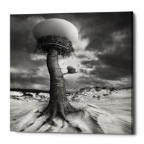 Epic Graffiti  "2nests" by Dariusz Klimczak, Giclee Canvas Wall Art - Grey 18" x 18"