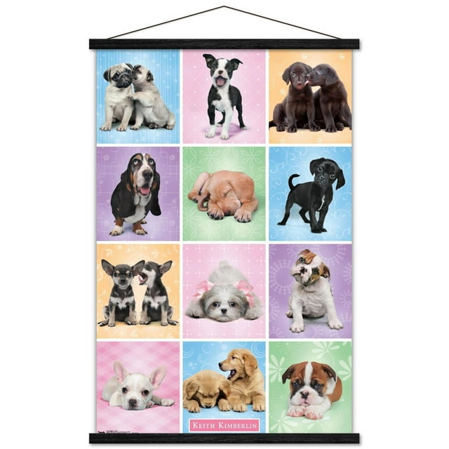 Keith Kimberlin - Puppies - Cuties Grid Wall Poster, 22.375" x 34"