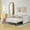 Beige, variant on Harper & Bright Designs Twin Size Upholstered Daybed with Trundle, Boucle Sofa Bed Frame for Living Room and Bedroom, Beige
