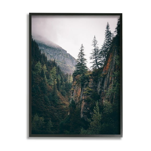 Stupell Industries Rustic Mountain Landscape Landscape Photography Black Framed Art Print Wall Art, 11 x 14