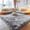 Light Gray, variant on Pentantan Shag Area Rugs, 5ft x 8ft Soft Fluffy Indoor Carpet for Living Room Bedroom Decor, Black