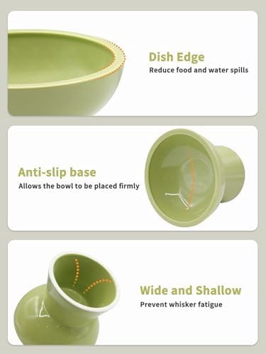 Elevated Green Cat Bowls Set - Wide Raised Ceramic Feeder, Anti-Vomit Whisker-Free Bowl for Kittens to Adult Cats