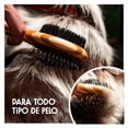 thumbnail image 5 of Cepillo Para Mascotas Cool Bambu Pets Dual Hecho de Bambú Chico, 5 of 5