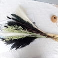 thumbnail image 3 of Hierba de pampa seca negra Plantas de hierba de pampa blanca Decoración Ramas de hierba de pampa artificial boho para arreglos florales de boda Decoración del hogar Xemadio CJWUS-7029, 3 of 4