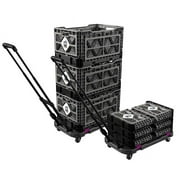 Big Ant H-IP54 Collapsible Container Hand Cart