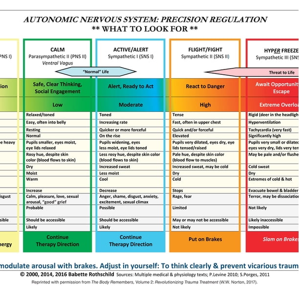 Autonomic Nervous System Table: Laminated Card (Other) - Walmart.com ...