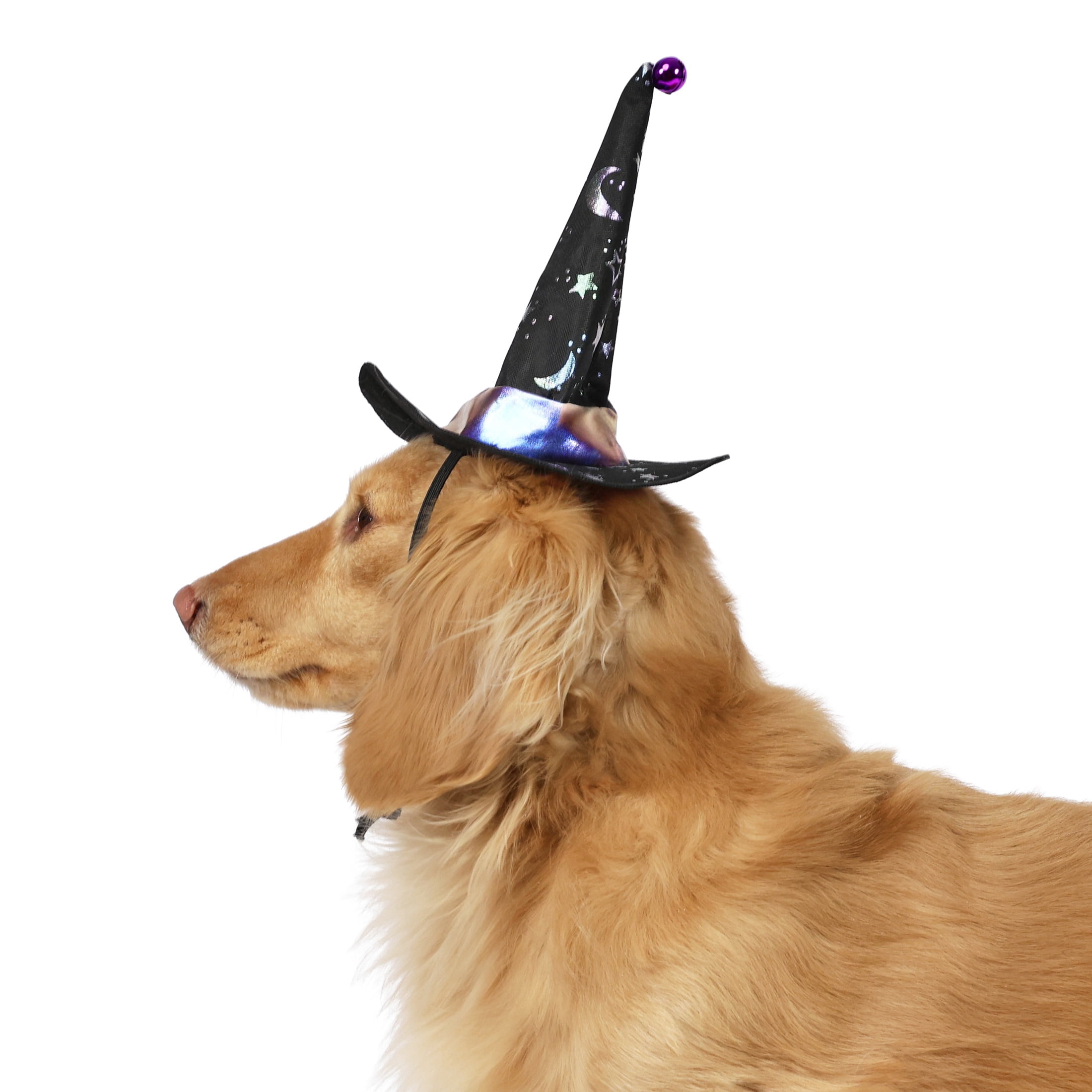 Vibrant Life Halloween Witch's Hat Costume for Dogs and Cats, Black, XS/S