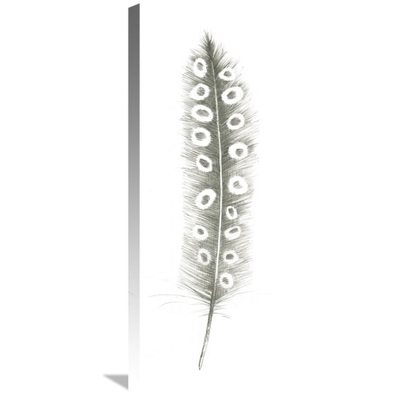 Global Gallery Avery Tillmon 'Feather Sketches VII' Canvas Wall Art