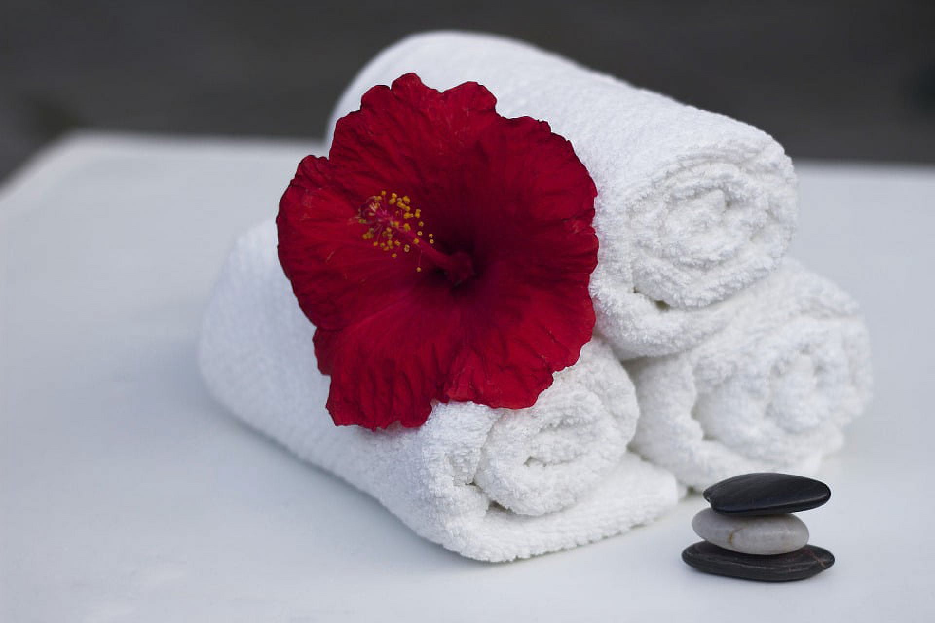 100% Turkish Cotton Luxury Hotel Spa Gym Hand Towel (10 Pack, White)