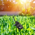 thumbnail image 4 of Dung   Model, Solar Powered  Toy Home Decoration Simulated  Educational  For Home For Adults, 4 of 8