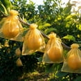 thumbnail image 6 of 100Pcs Fruit Protection Bags, Green Netting Cover Bags Drawstring Mesh Fruit Protectors Pest Barrier for Tomato Mango Trees Veggies Garden(XL,Gold), 6 of 6