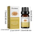 thumbnail image 3 of Boswellia Carterii Therapeutic Grade Oil 10ml, 3 of 5