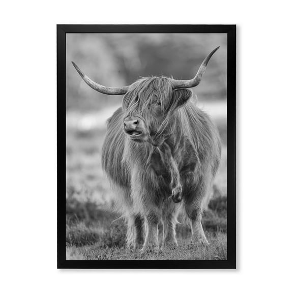 Designart 'Close Up View of Monochrome Bull' Farmhouse Framed Art Print