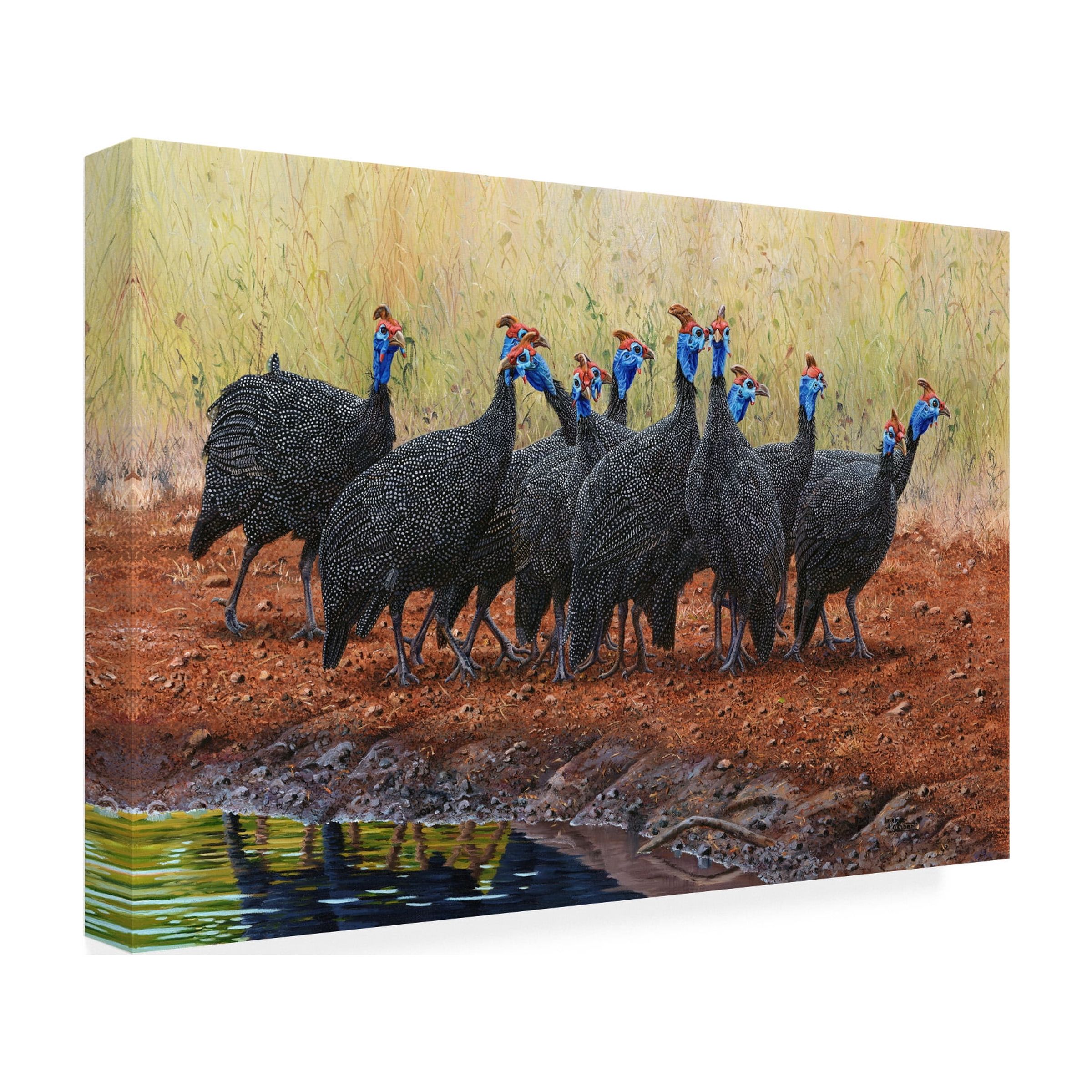 Canvas Wall Art - Delene Lambert 'Guinea Fowl Jive Talking' Wall Art for Living Room, Bedroom, or Office Décor by Trademark Fine Art - 19 x 12 Inches