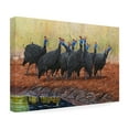 thumbnail image 4 of Canvas Wall Art - Delene Lambert 'Guinea Fowl Jive Talking' Wall Art for Living Room, Bedroom, or Office Décor by Trademark Fine Art - 19 x 12 Inches, 4 of 4