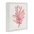thumbnail image 2 of Stupell Industries Contemporary Rosy Pink Coral Branch White Framed Giclee Art, 17 x 17, by Janet Tava, 2 of 8