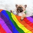 thumbnail image 2 of Flannel Throw Dog Blanket Gay-Pride Flag Soft Warm Print Pet Blankets for Small Dog Cat Puppy, 2 of 7