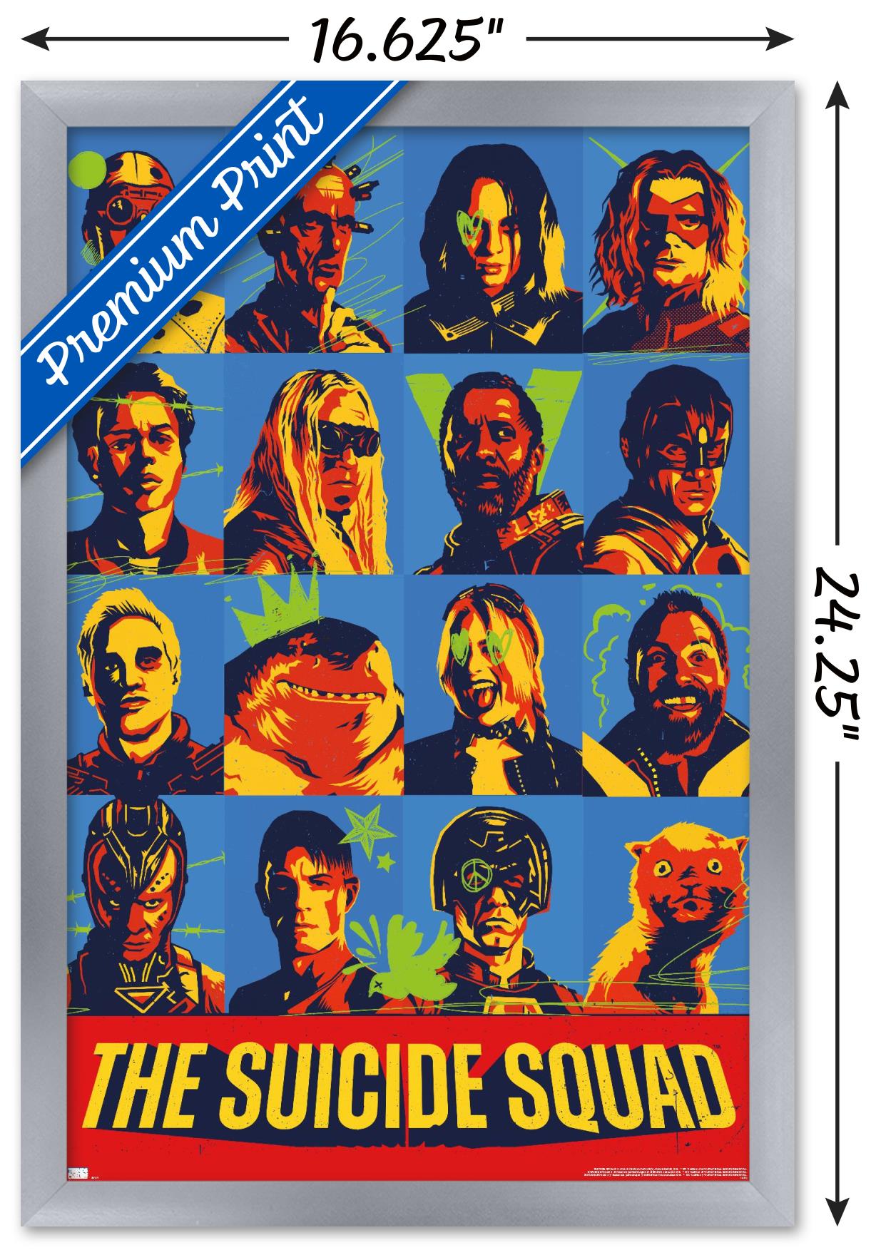 DC Comics Movie The Suicide Squad - Grid Wall Poster, 14.725" x 22.375", Framed