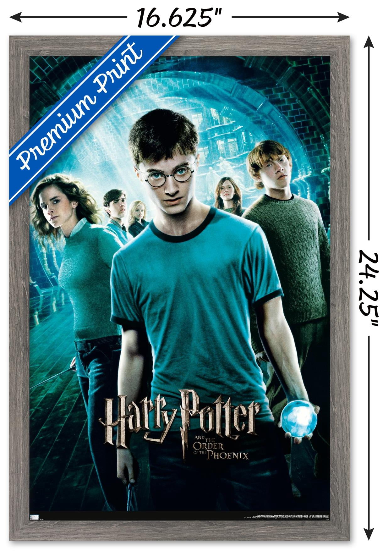 Harry Potter and the Order of the Phoenix - One Sheet Wall Poster, 14.725" x 22.375" Framed