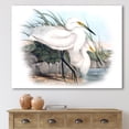 thumbnail image 2 of Designart ' Ancient Bird Life I ' Traditional Canvas Wall Art Print, 2 of 4