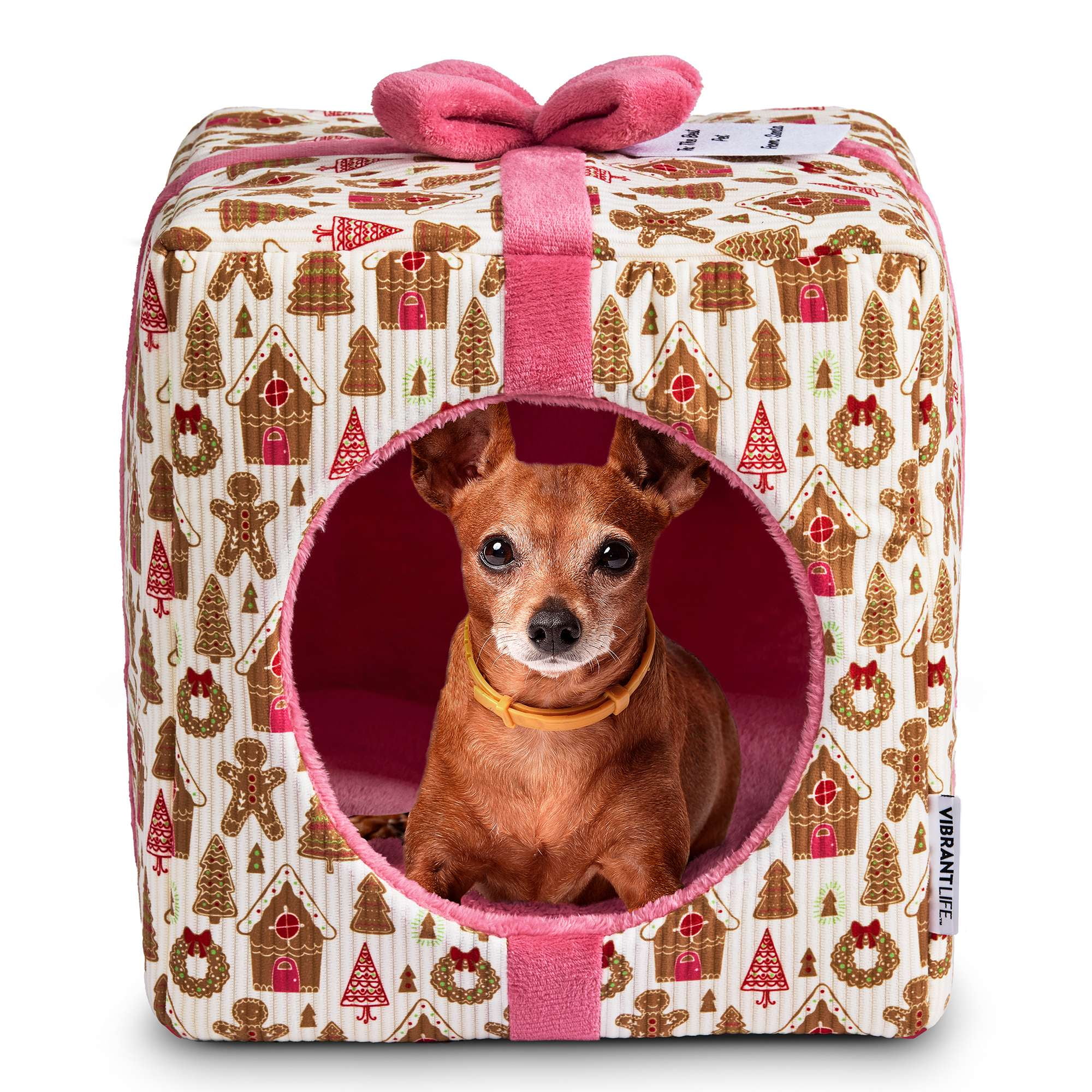 捨七 summer holiday PET 捨七 summer holiday PET 捨七 summer