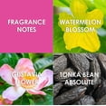 thumbnail image 5 of Perfume Britney Spears Jungle Fantasy EDT 30 ml para mujer, 5 of 5