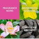 thumbnail image 5 of Perfume Britney Spears Jungle Fantasy EDT 30 ml para mujer, 5 of 5