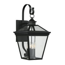 Ellijay 4-Light Outdoor Wall Lantern in Black