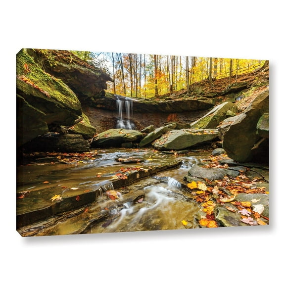 Cody York "Blue Hen Falls 3" Floater-Framed Gallery-Wrapped Canvas