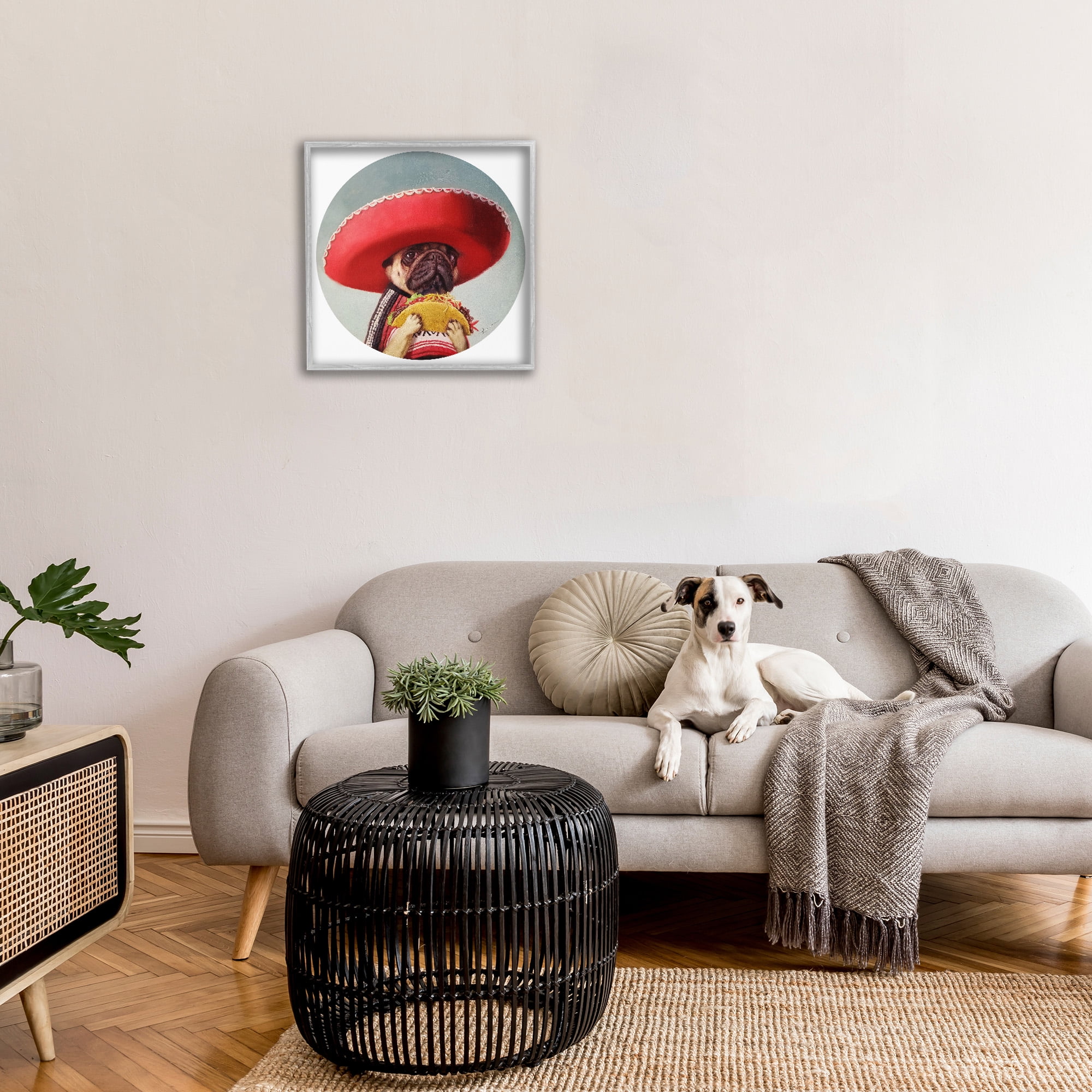 Stupell Industries Pug in Sombrero with Taco Animals & Insects Painting Gray Framed Art Print Wall Art, 24 x 24