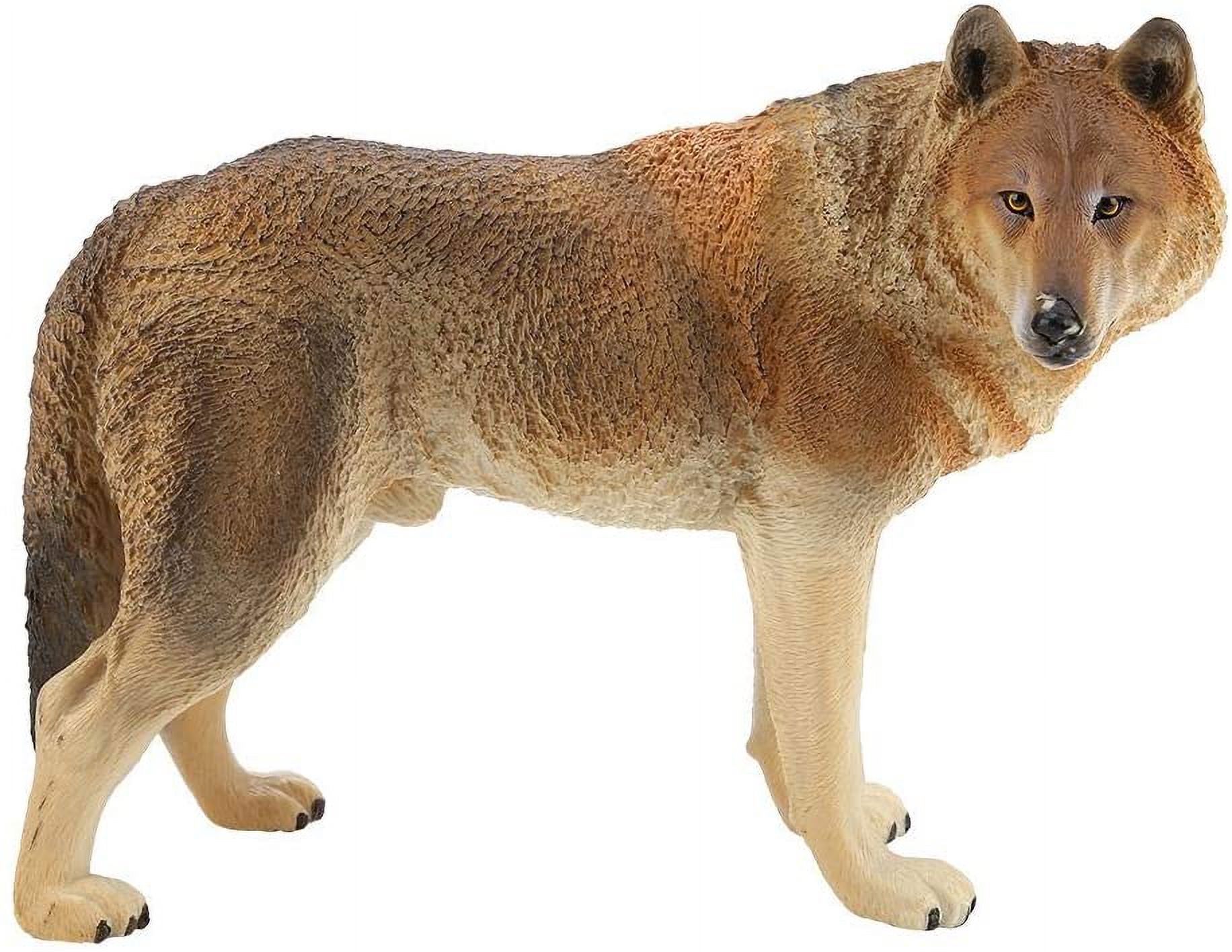 Modèle de Loup animal Sauvage simulation pour Enfants Jouet Ornemental (B)