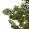 thumbnail image 4 of National Tree Company 6.5 ft. Snowy Morgan Spruce Slim Tree with Dual Color® LED Cosmic Lights®, 4 of 6