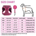 thumbnail image 5 of AIITLE Dog Harness with Leash Set - All Weather Breathable Mesh, Reflective Stripes, Adjustable Escape Proof Pet Outdoor Harnesses for Medium Dogs Hot Pink M, 5 of 6