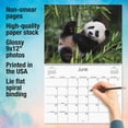 thumbnail image 6 of Current 2027 Baby Animals Wall Calendar, 12-Inch x 9-Inch Size Closed, 18-Inch Size Open, Large Bookstore-Quality, Spiral-Bound Hanging Monthly Wall Calendars for Kitchen & Office, 6 of 9