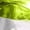 Green, variant on Women Metallic Space Alien Futuristic Mini Dress with Matching Long Gloves for Rave Festival Party Silver S