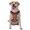 Without Accessories, variant on Vsdgher American Football1 Pattern Dog Harness,No Pull Pet Harness with Soft Padded Handle,Adjustable Reflective Vest with 2 Buckles,4 Slide Buckles,S-XL Large