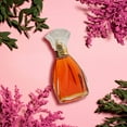 thumbnail image 3 of Perfume Nicole Miller de Nicole Miller, Perfume, 100 ml, 3 of 8