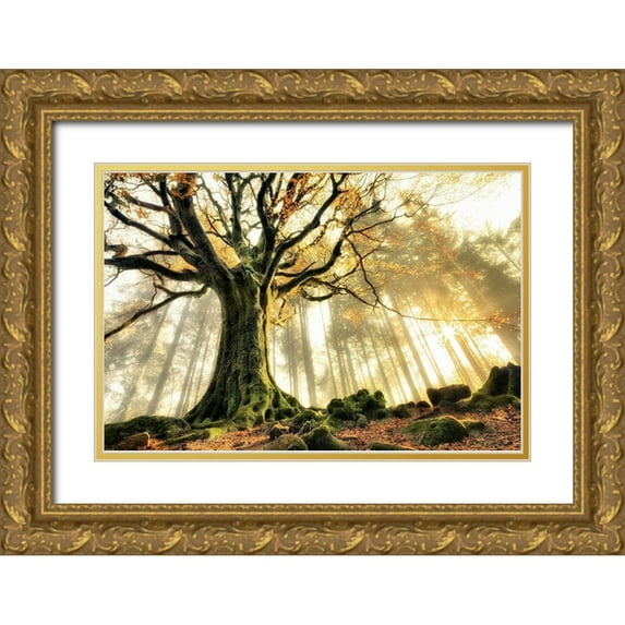 Kiciak, Christophe 18x13 Gold Ornate Wood Framed with Double Matting Museum Art Print Titled - November